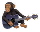 A monkey 'playing' guitar